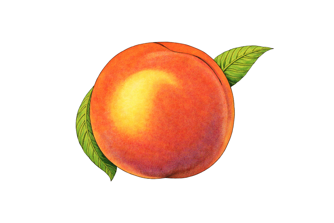 Eat a Peach Bowl Collection
